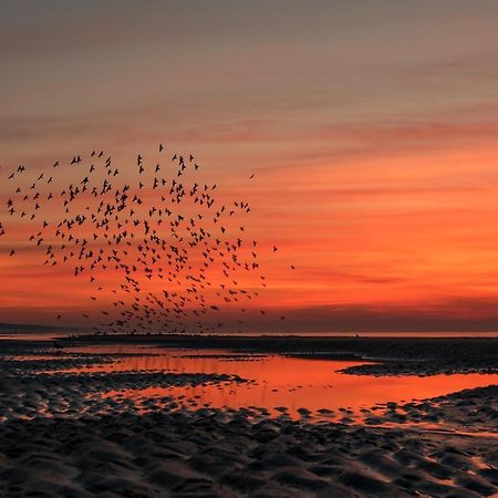 Hoekje Aan Zee 카트베이크안제이 외부 사진